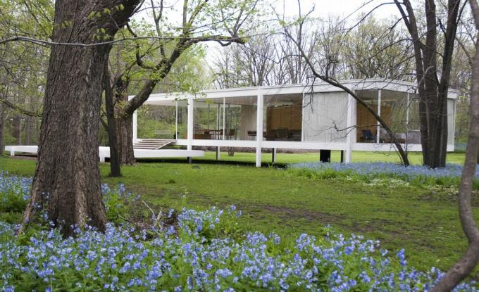 una casa di vetro a un piano sollevata da terra su moli in un ambiente rurale tra alberi e fiori blu