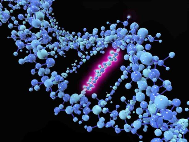 Una mutazione puntuale è una mutazione genetica in cui una singola base nucleotidica viene modificata, inserita o eliminata da una sequenza di DNA o RNA.