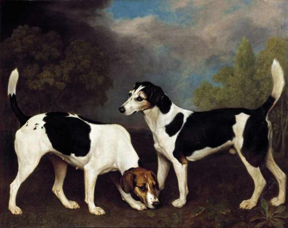 George stubbs paio di foxhound