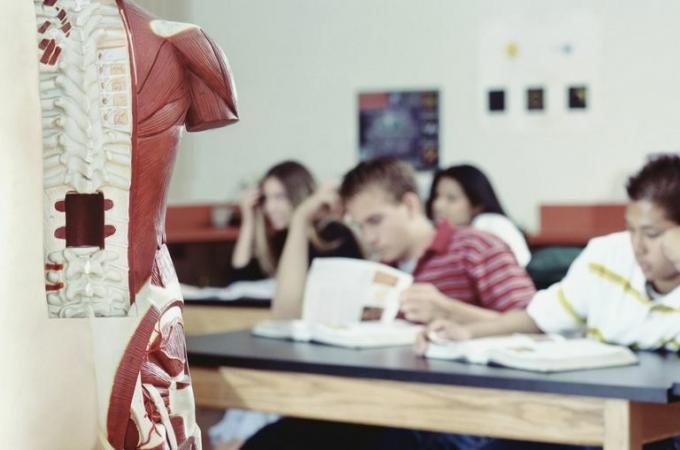 Ho un bel lavoro!. Sistemi di organi del corpo Quiz