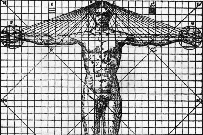 illustrazione in bianco e nero della parte anteriore dell'uomo umano su un grafico con linee che mostrano simmetria e proporzione