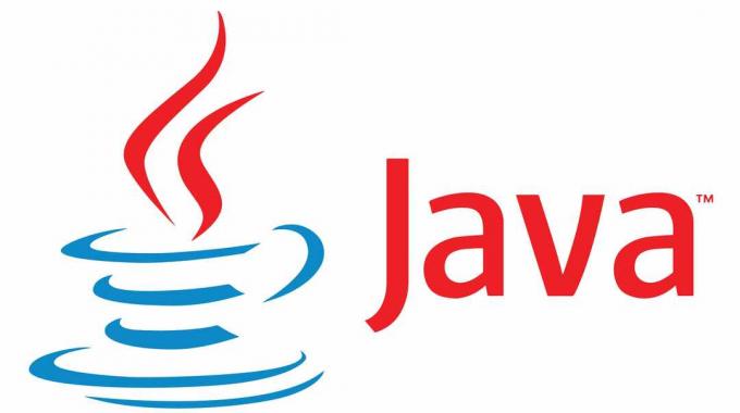 Il logo Java