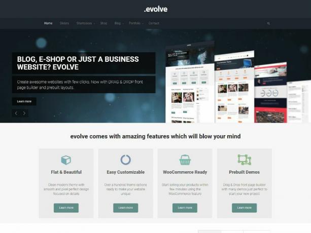 Il tema Evolvi WordPress