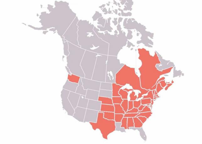 Distribuzione della sindrome del naso bianco in Nord America nel 2018.