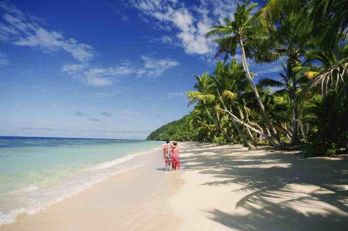 Due persone in piedi sulla spiaggia, Figi