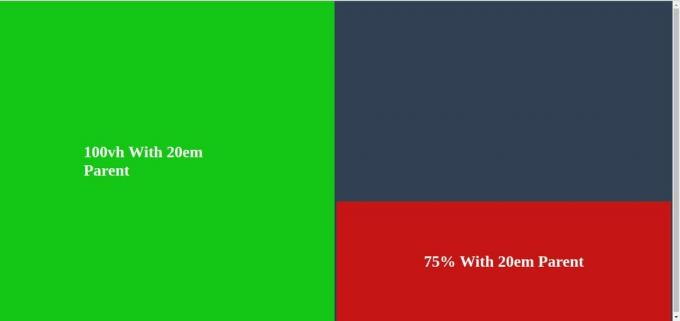 Elemento CSS con altezza della finestra e genitore definito