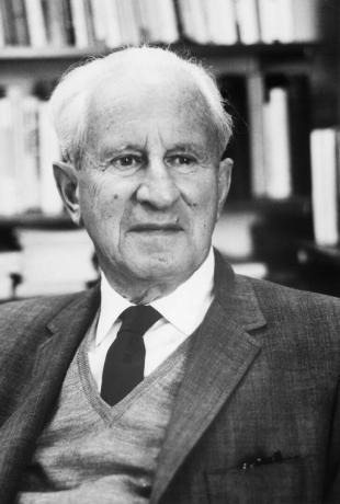 Il filosofo Herbert Marcuse