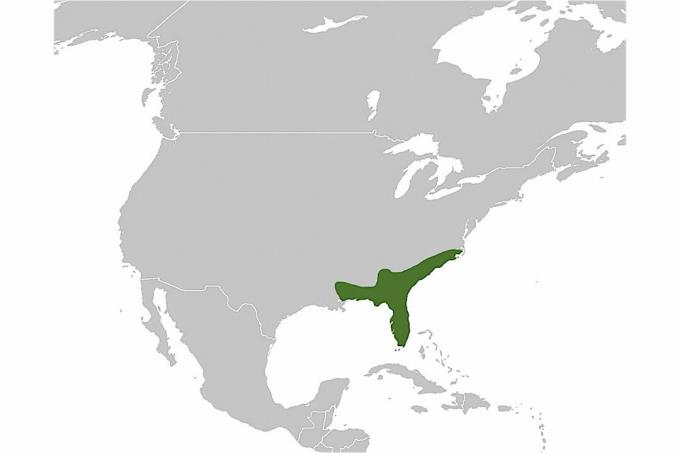 Mappa di distribuzione del serpente a sonagli Diamondback