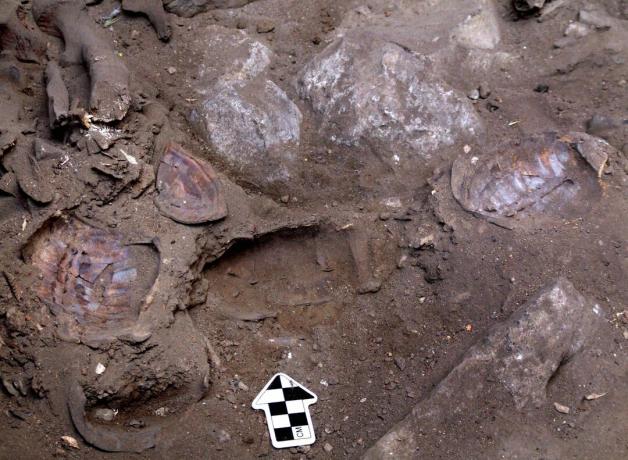 Gli archeologi israeliani scoprono la sepoltura di She-Shaman