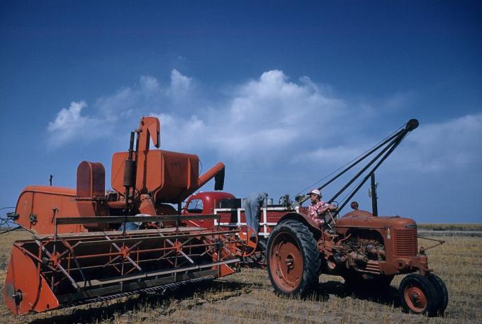 RACCOLTA DI FRUMENTO IN KANSAS