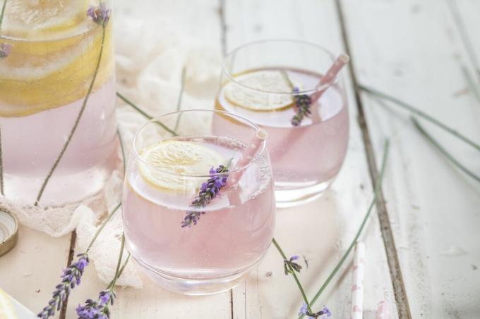 Una persona a cui non piace il coriandolo troverebbe anche una saponata alla limonata alla lavanda.