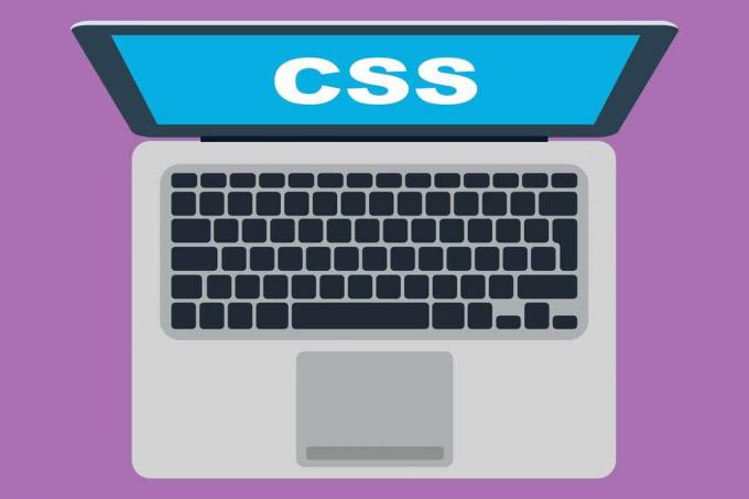 Un'illustrazione di un laptop con CSS visualizzato sullo schermo.