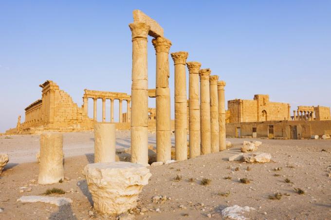 Palmyra, Great Colonnade e Temple of Bel