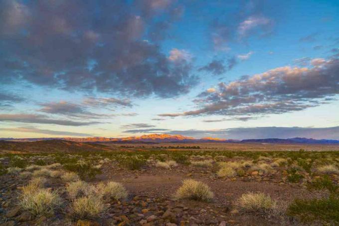 L'aria tropicale continentale si forma su paesaggi desertici come nel Nevada