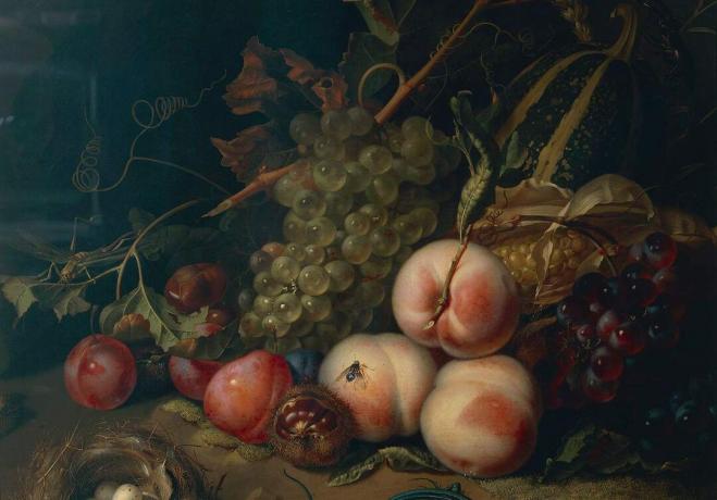 Comp Save to Board Italy, Firenze, Natura morta con frutta e insetti di Rachel Ruysch, 1711, olio su tela, particolare