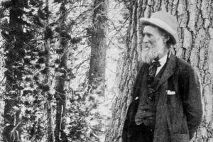 Fotografia di John Muir nel bosco