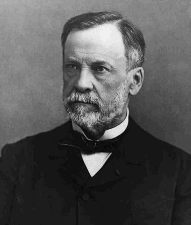 Scienziato Louis Pasteur