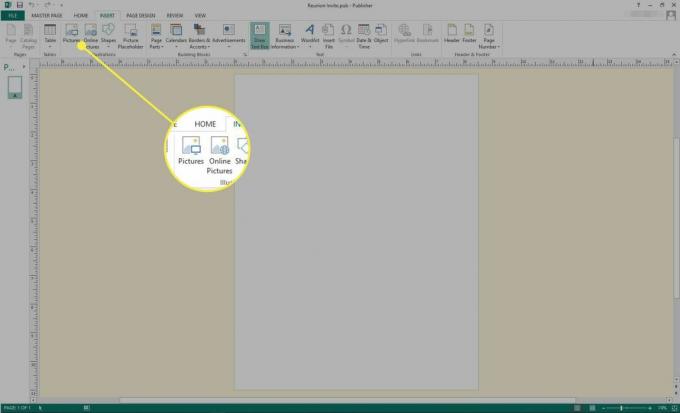 Uno screenshot di Microsoft Publisher con le opzioni di inserimento Immagini e Immagini online evidenziate