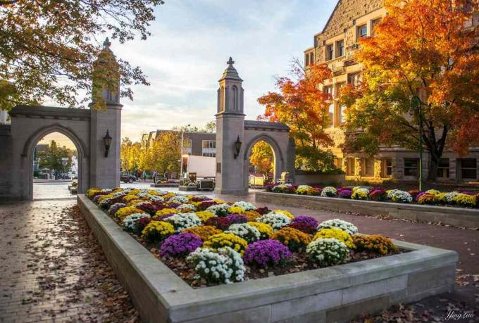 Amo la mia scuola, soprattutto in autunno - Indiana University Of Bloomington