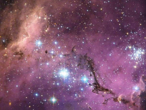 Una porzione della Grande nube di Magellano che mostra i suoi numerosi ammassi e corsie di gas e polvere sullo sfondo di una nebulosa.