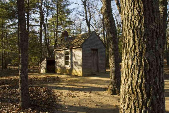 La cabina di Thoreau a Walden Pond