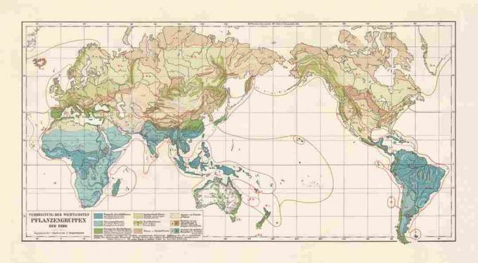 Zone di vegetazione del mondo, litografia, pubblicata nel 1897