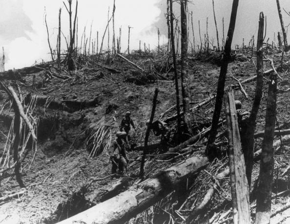 Battaglia di Hamburger Hill