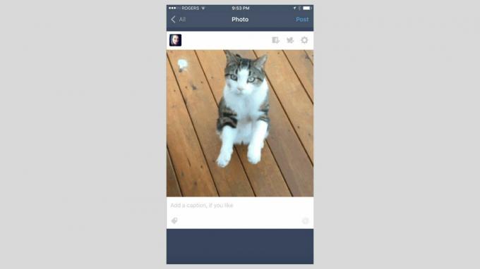 Uno screenshot dell'app Tumblr per iOS.