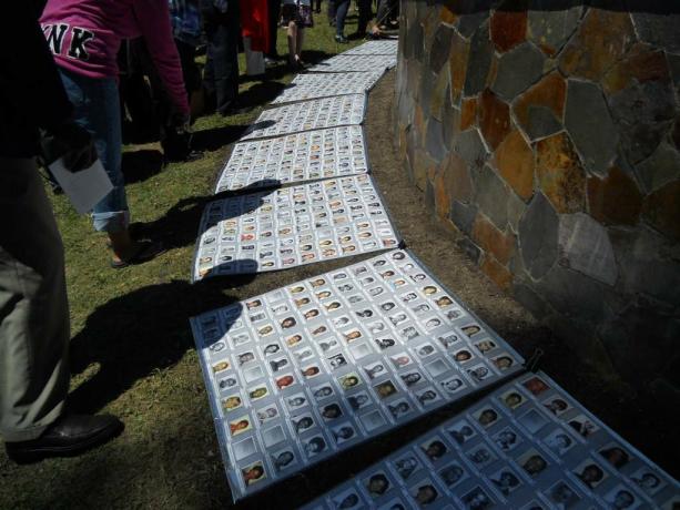 Ritratti commemorativi delle vittime del massacro di Jonestown esposti a terra.