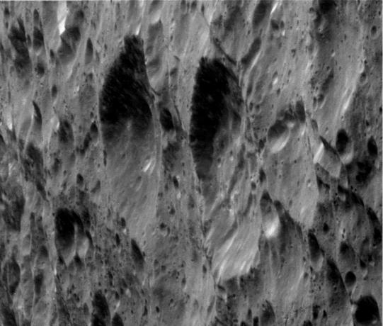 Primo piano della luna di nandù