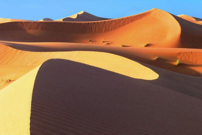 Deserto del Sahara