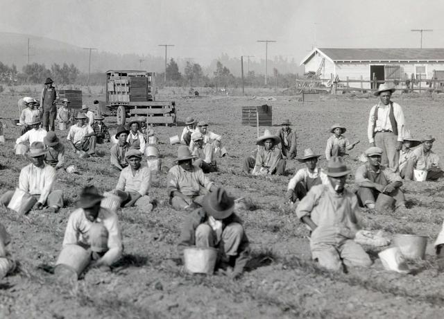 Agricoltura nella valle di San Fernando, ca. 1920