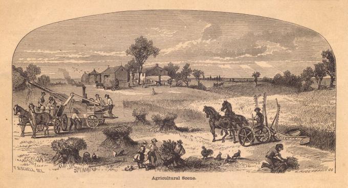 Vecchia, illustrazione in bianco e nero della scena agricola, dal 1800