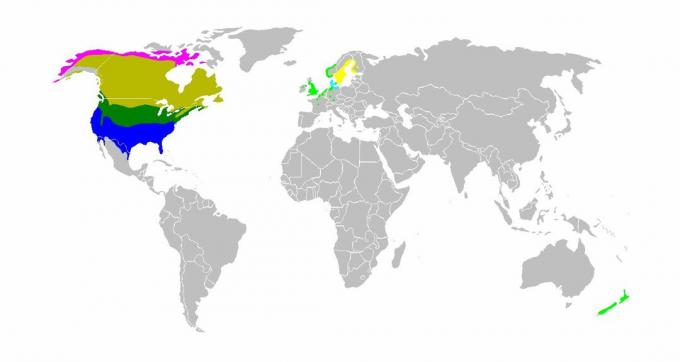 Mappa del mondo che mostra l'habitat Canada Goose.