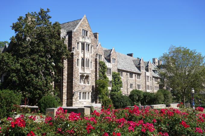 università di Princeton