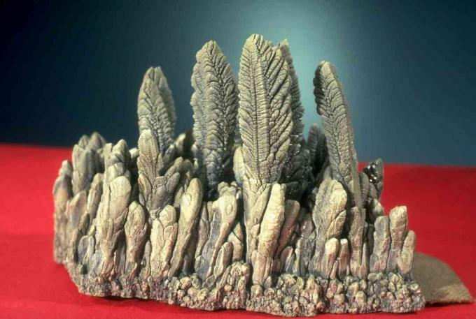 Cristalli di magnesio