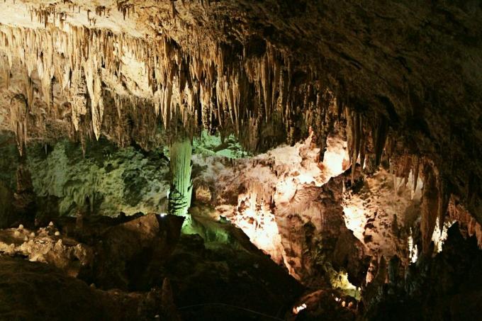 Parco nazionale delle caverne di Carlsbad