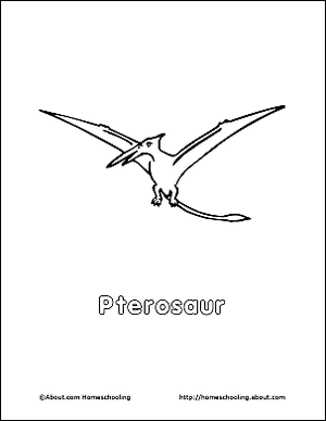Pterosauri: rettili volanti