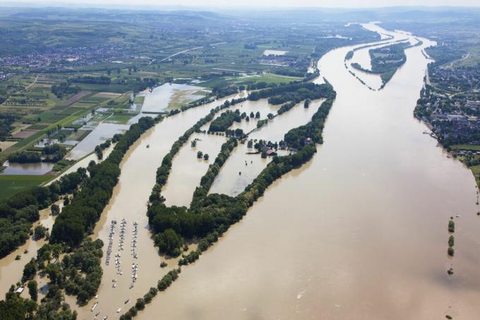 Germania, Assia, Eltville, inondazioni del fiume Isola del Reno Koenigskling Aue, foto aerea