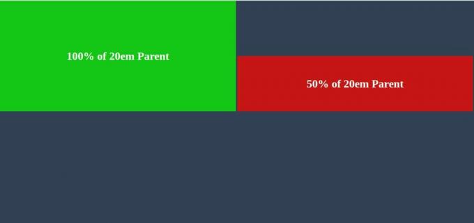 Elemento CSS con altezza 100% e genitore 20em
