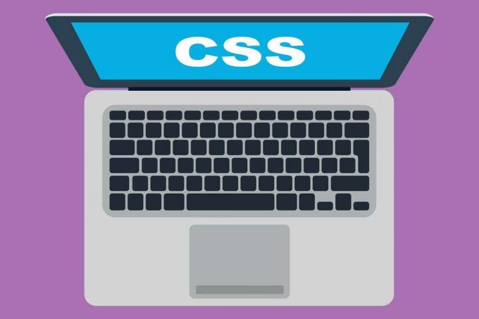Computer portatile con parola CSS sullo schermo