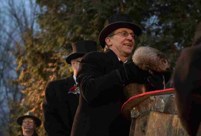 Giorno della marmotta a Punxsutawney, in Pennsylvania