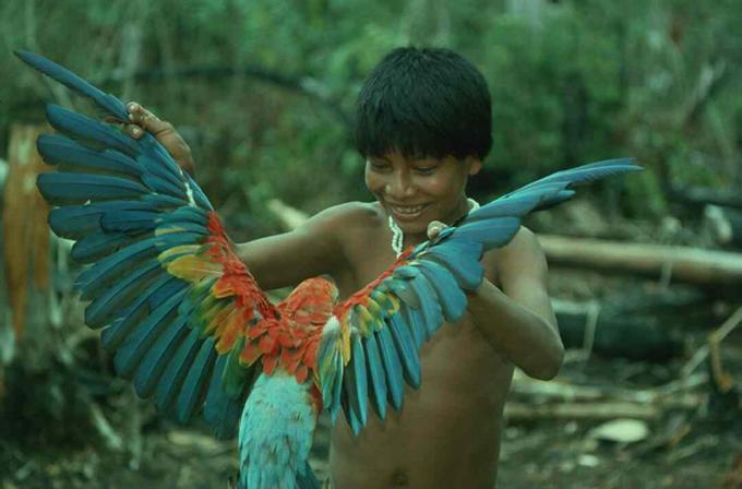 Un ragazzo e il suo macaw